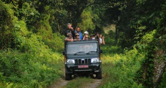 Hotel Royal Safari Chitwan Buitenkant foto