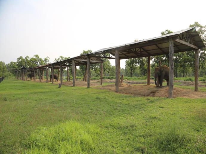 Hotel Royal Safari Chitwan Buitenkant foto